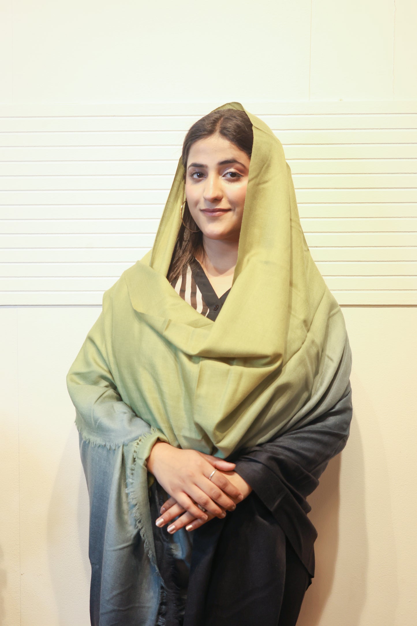 Cashmere Wool Ombre Shawl