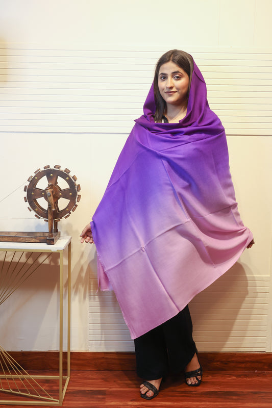 Cashmere Wool Ombre Shawl