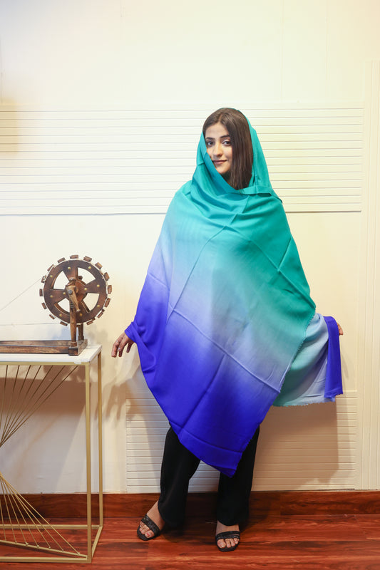 Cashmere Wool Ombre Shawl