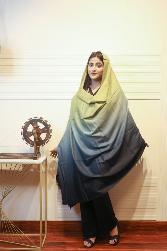 Cashmere Wool Ombre Shawl