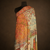 Kashmir Seasons Kalamkari Pashmina Shawl
