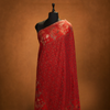 Kani Zari Work Shawl